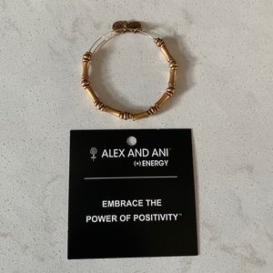 Alex And Ani Bracelet
